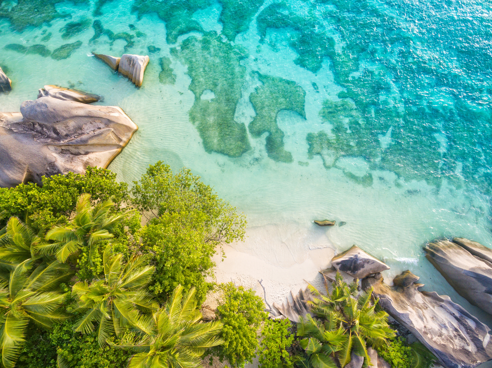 Aerial Photo of Seychelles Beach 